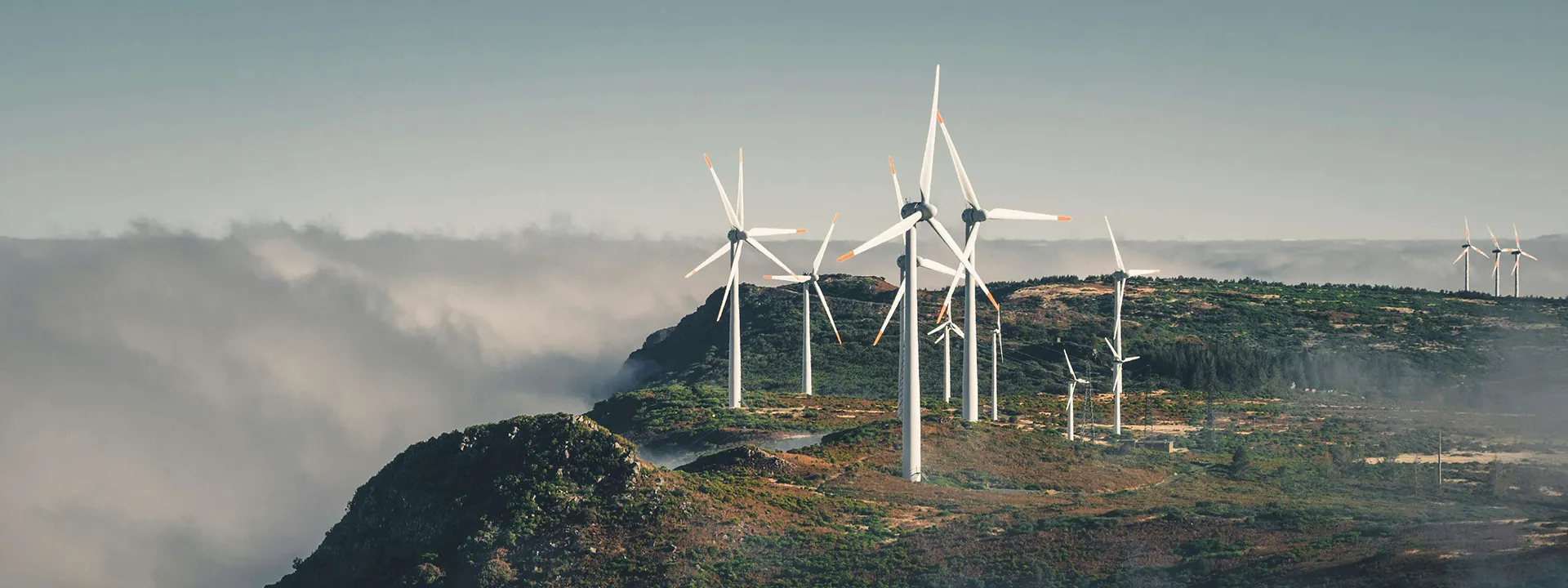 Streamlining operations and setting the stage for AI: a data transformation for Climate Bonds Initiative